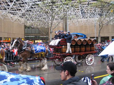 WHAT IS NORMALLY THE CARLTON DRAUGHT FLOAT HAS TURNED INTO A 'BLONDE' FLOAT WITH 'BLONDE' HORSES